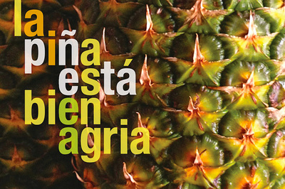detail of a pineapple with the words "la piña está bien agria"