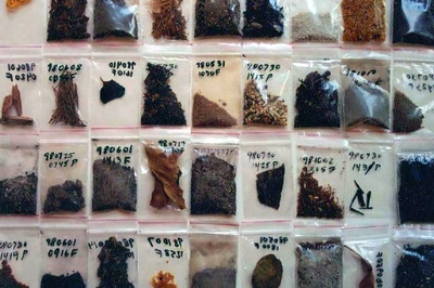 a grid of ziplock bags with organic material