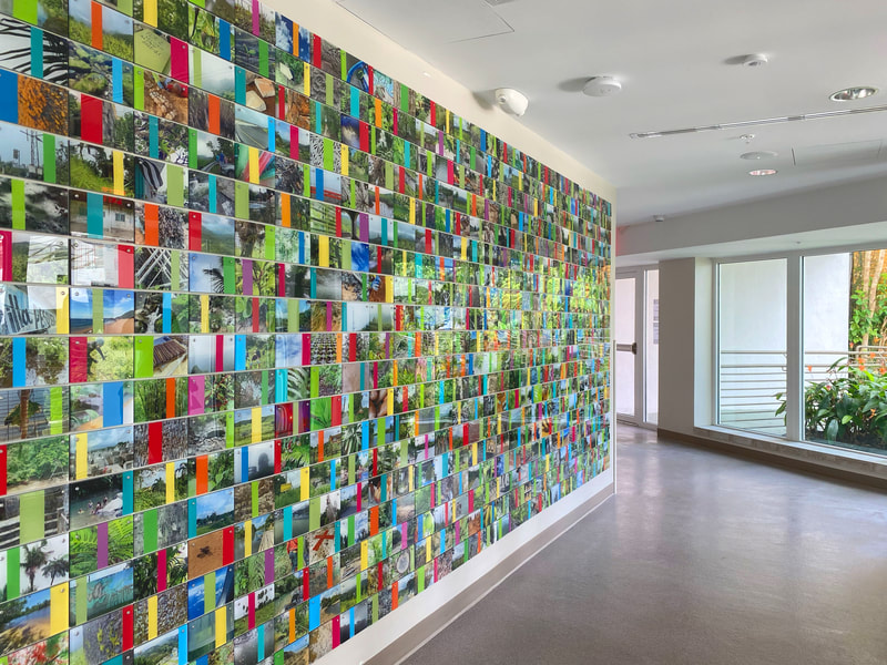 wall with grid of small photos and colors